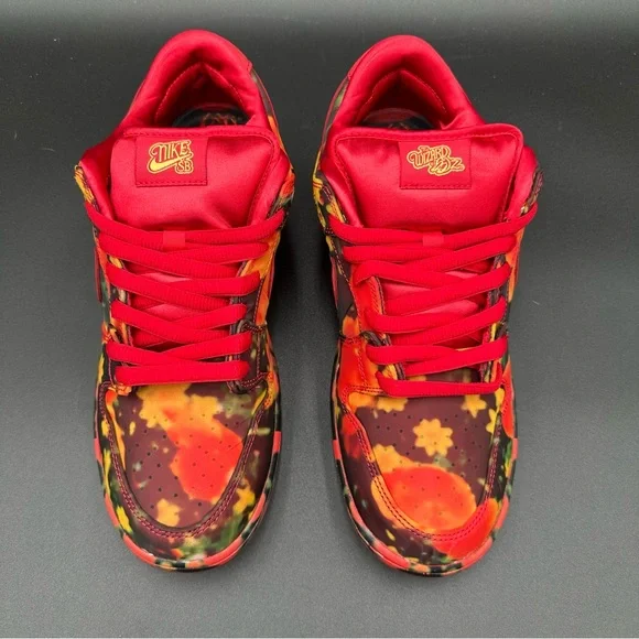 NWT 2024 NIKE SB DUNK LOW PRO WIZARD OF OZ QS DEADSTOCK OG ALL MENS 10.5 - Picture 3 of 16